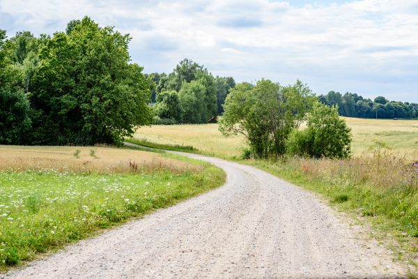 Cost of Stone Driveway Repair in Greenwood