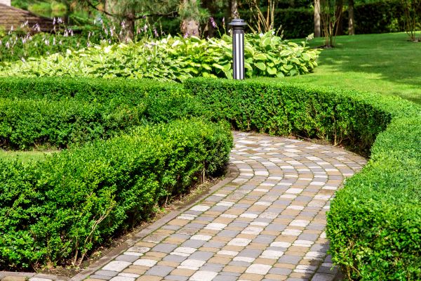 Cost of Paved Landscaping in Greenwood